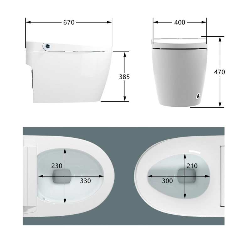 Auto Flush Intelligent Smart Electric Automatic Toilet